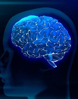 Gluten et caséine en lien avec l’autisme, l’hyperactivité et autres troubles du comportement