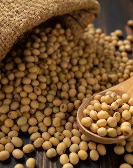 Le Soja: nouveaux arguments pour l’éviter