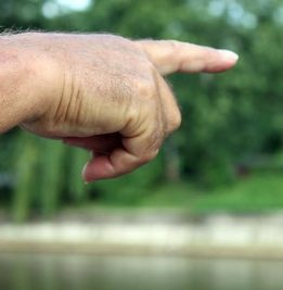 Los factores causantes de nuestras enfermedades