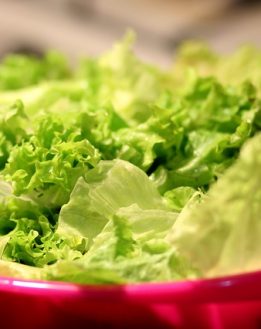 Has lettuce opioid effects?