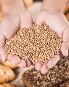 Les céréales complètes, sont ils tellement saines?