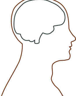 Approches naturelles des troubles neurologiques, mentaux et du comportement