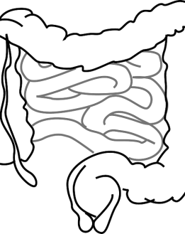 Colite, Crohn et maladies inflammatoires de l’intestin