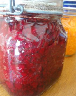 Les aliments lacto-fermentés