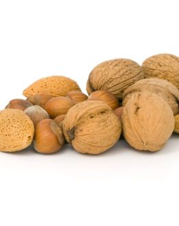 Les noix et graines oléagineuses