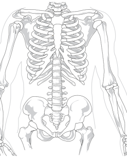 Carence en calcium, ostéoporose et maladies osseuses. 1e partie