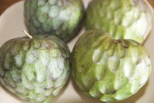 Chirimoyas verdes y maduras