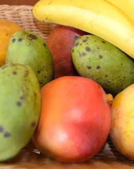 Identifier les fruits mûrs. 1ère partie: Fruits tropicaux