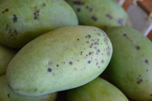 Mangos salvajes maduros