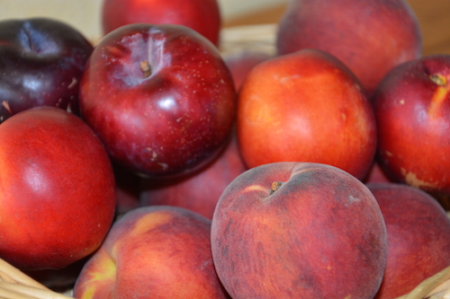 melocotones, nectarinas y ciruelas rojas