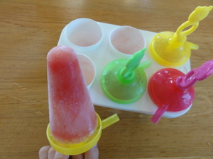 Sorbete de sadía en forma de helado de palo